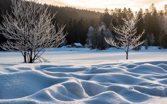 ibis La Bresse Gerardmer