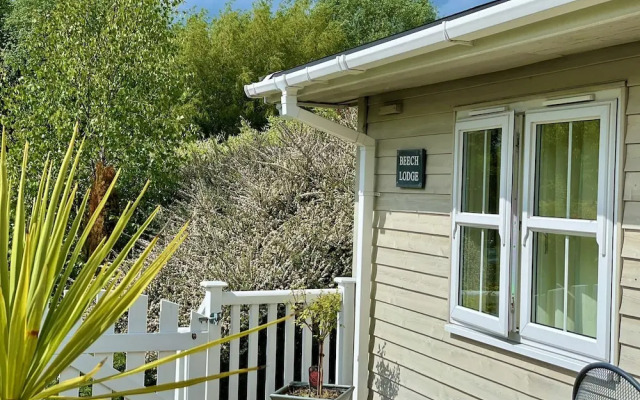 Holiday Lettings Beech Lodge - Stunning 6-bed King