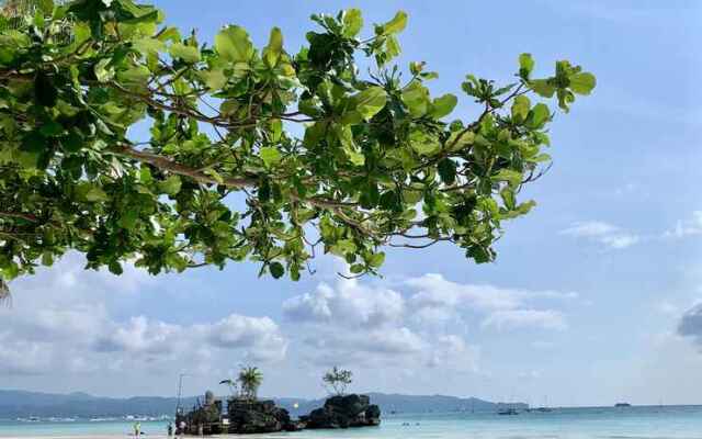 The Orchids Resort Boracay