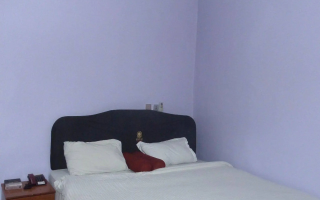 The Snug