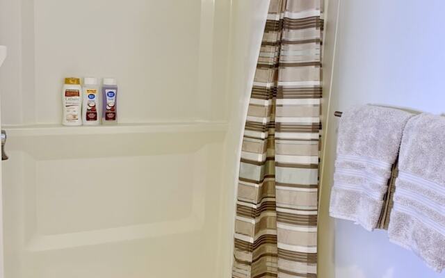 Modern Large Studio 99Wlkscore