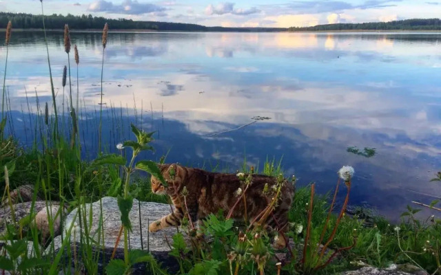 Guest house Ura Seliger