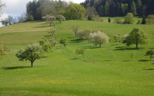 Am Reichenbach Modern Retreat