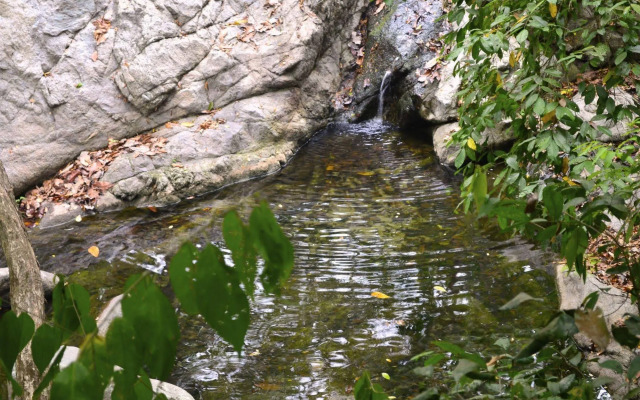 Posadas Ecoturisticas San Rafael