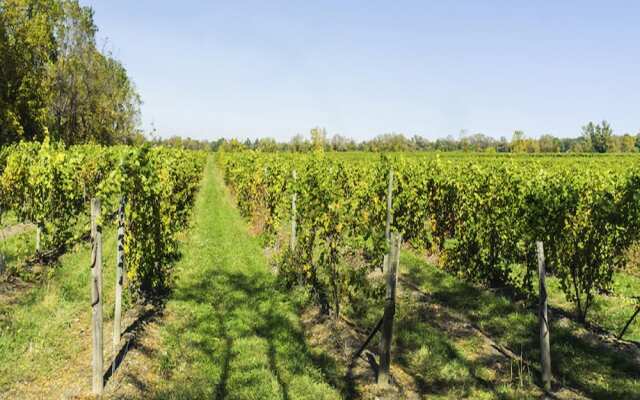 Barrister's Bed & Breakfast