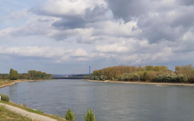 Wohnen direkt am Rhein, Zentrums- und Domnah, 55QM