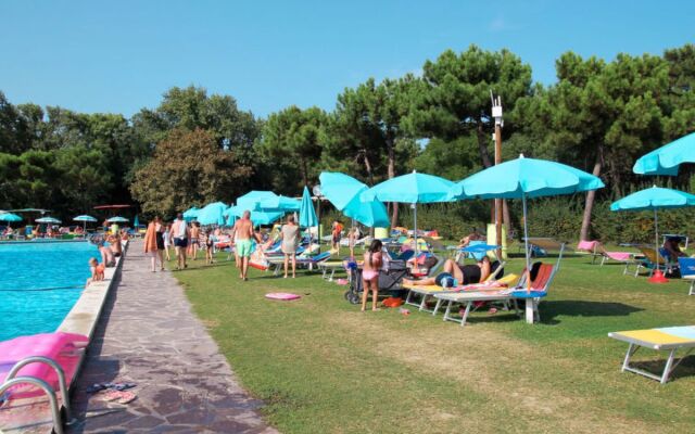 Mare Pineta 42191