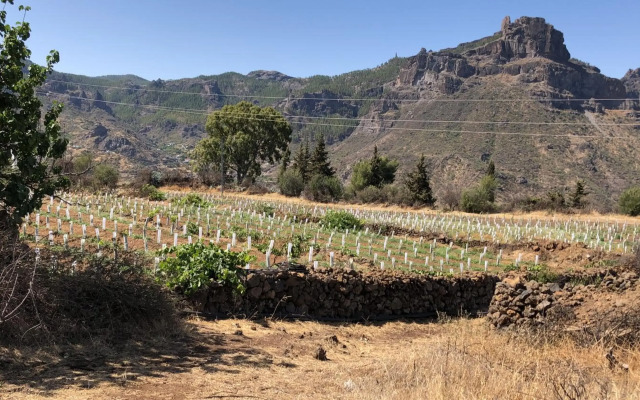 Tejeda Parque Rural el Nublo