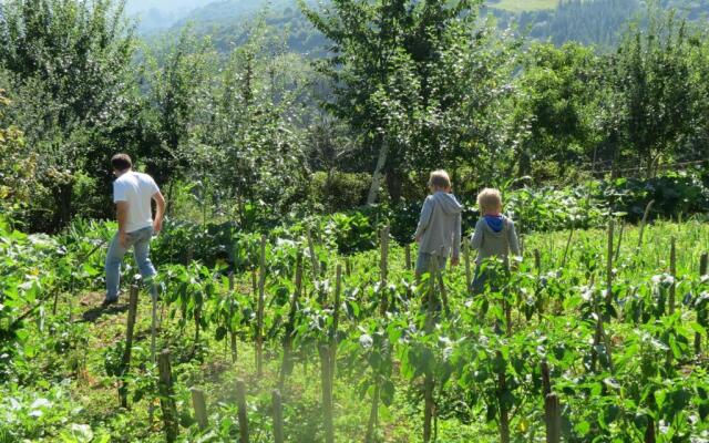 Agroturismo La Casona de Belmonte