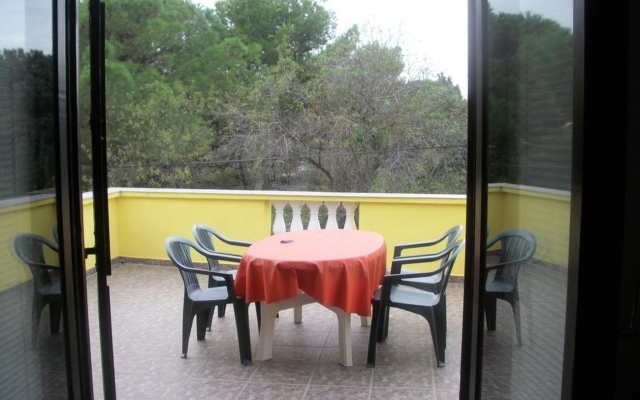 Apartment Midi - with two apartments: A2 Petrcane, Zadar riviera