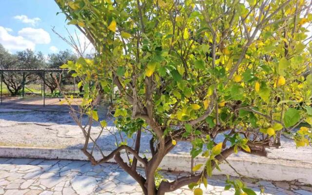 My Cretan Village by Go4sea
