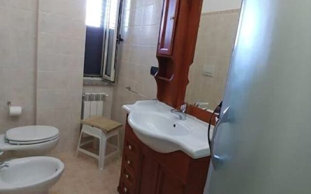 Bruno B&B