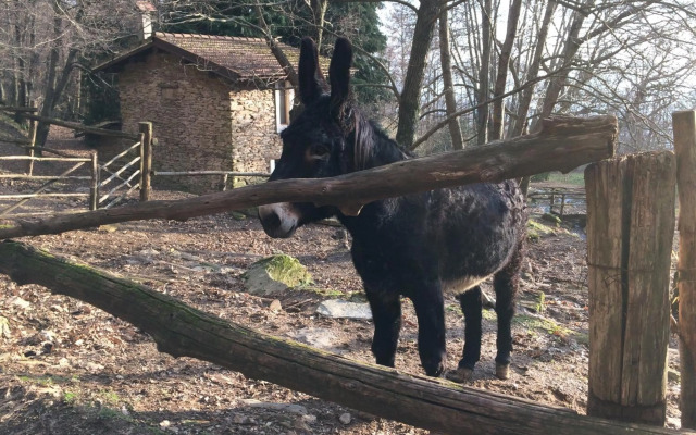Centro Trekking A Cavallo Monte Brugiana