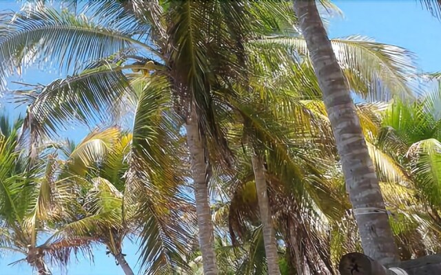 Allamanda Beach Club by RedAwning
