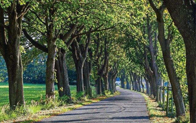 Beautiful Apartment in Altefähr/rügen With 1 Bedrooms and Wifi