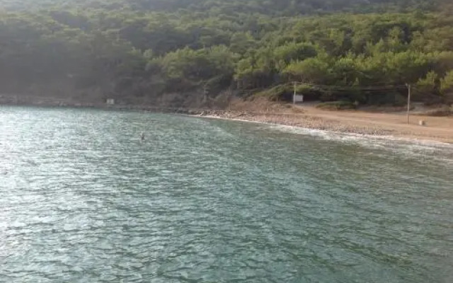 Öz Likya Pension