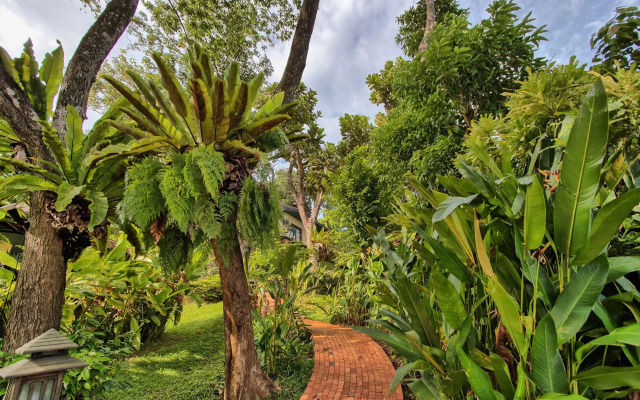 Mangosteen Ayurveda & Wellness Resort