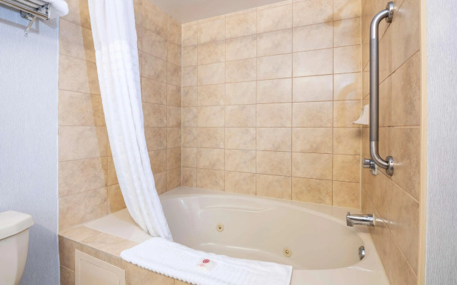 Comfort Hotel & Suites