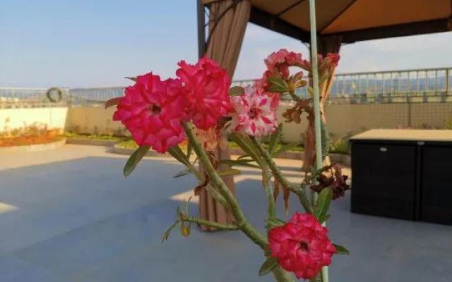 Xishuangbanna Rainforest Flower Valley Hotel (Gasa International Airport)