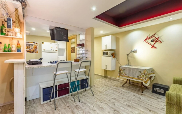 Stylish and Central Flat With Backyard in Sisli