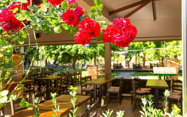 Villa Bercu Paradise