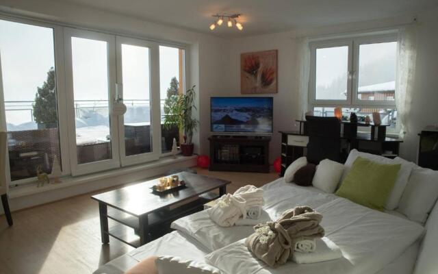 Penthouse Sonnberg