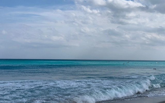 Tropicals of Palm Beach