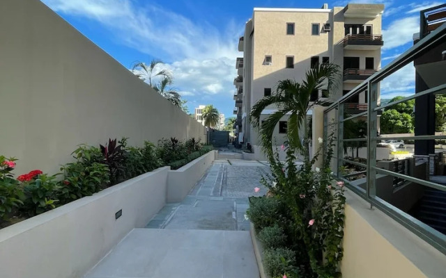 Paddington Terrace Oasis