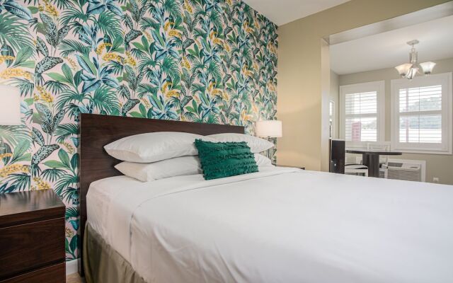 The Local - St. Augustine