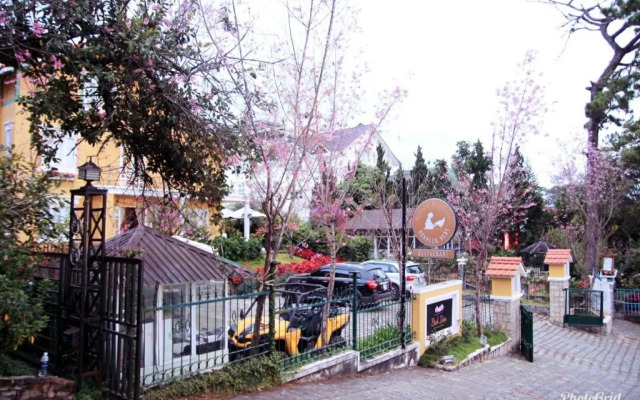 BICH DAO Boutique - Dalat