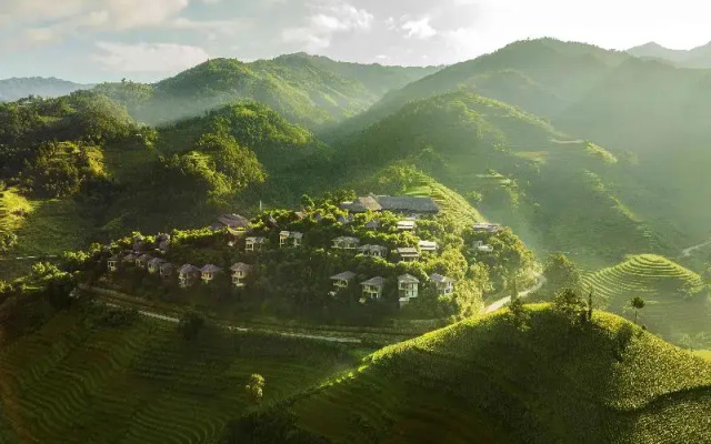 Garrya Mu Cang Chai