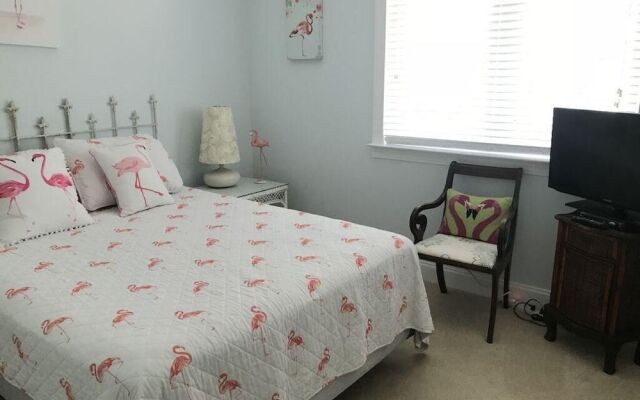 Daisy- 338 Palmetto Walk