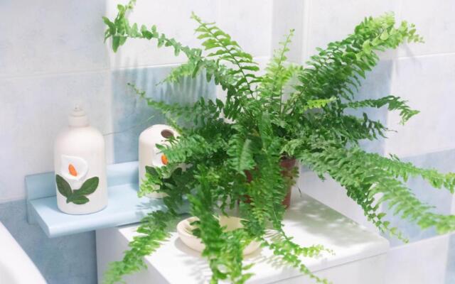 H11 Sanremo BLU Vicino a Spiagge Casino