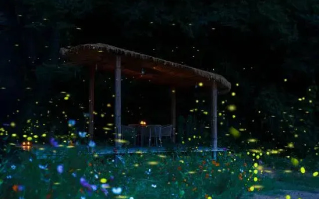 Moganshan High Mountain Forest Adventure Park · Xuan Yong Shilily Hotel