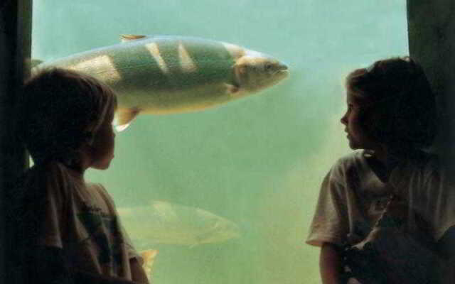 Hotel Fairmont Algonquin - Studio