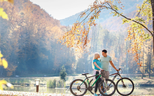 Отель Voevodyno Resort