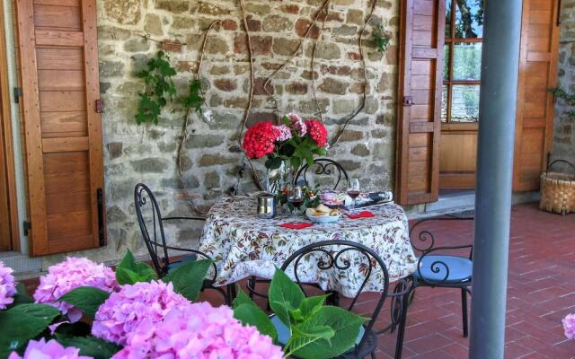 Villa in Tuscany With Pool & Vineyard Views