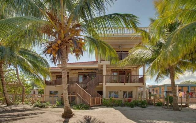 Buttonwood Belize