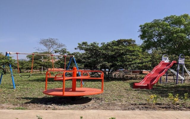 Mango Tree Farm