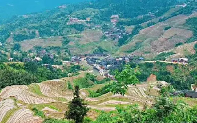 Longji Terrace Binlaiyue Homestay (Jinfoding Cable Car Dian)