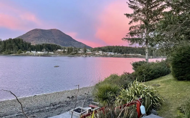 A Room With a View