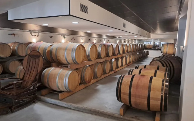 Château Pierre de Montignac