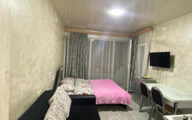 Apartment studio maksim