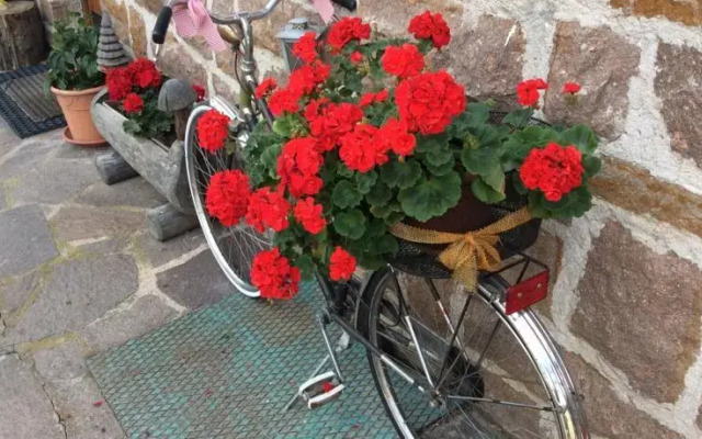 B&B Il Nido