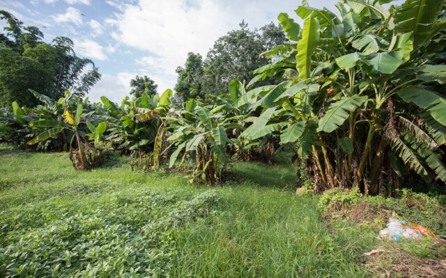 Avocado and Orchid Resort