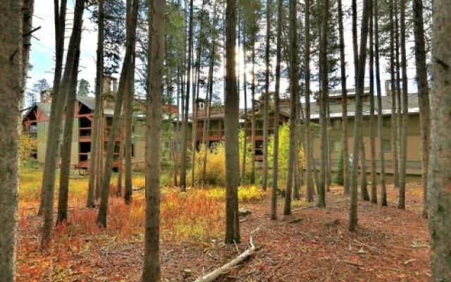 Skiwatch 102 - 2 Br Condo