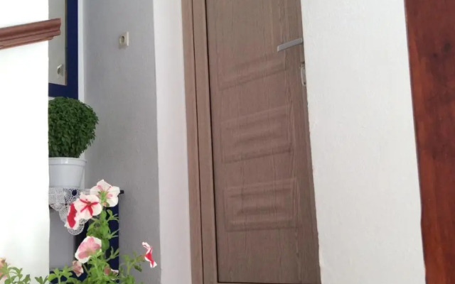 Pension Nopi
