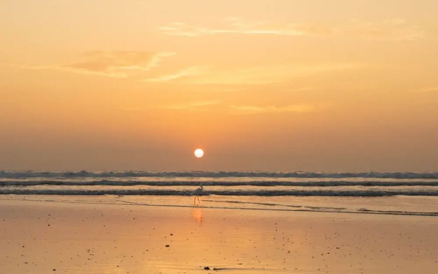 Villas VR Beachwalk Avellanas