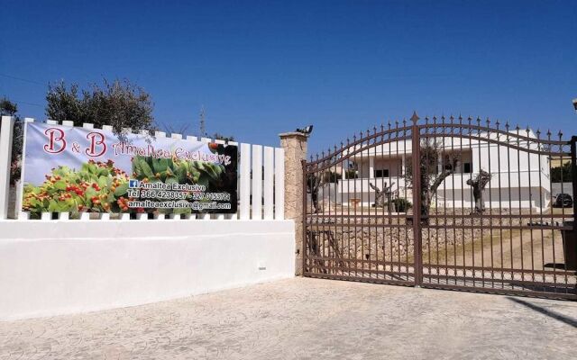 B&B Amaltea Exclusive