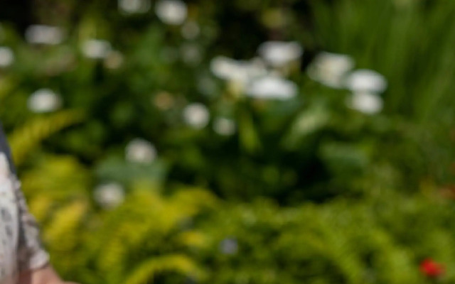 Miiro Templeton Garden